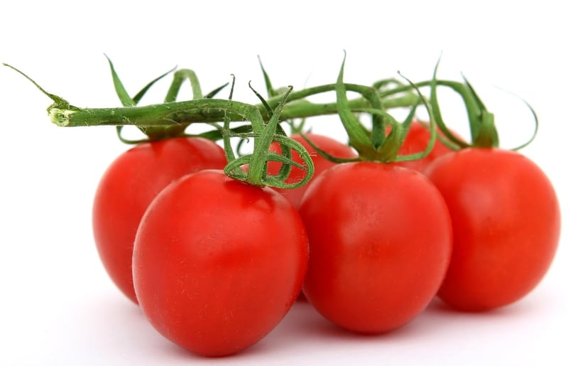 Food Trend Image